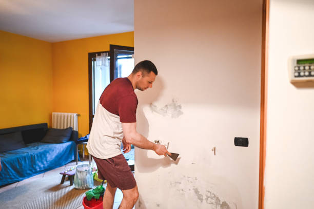Best Black Mold Removal  in Ellettsville, IN